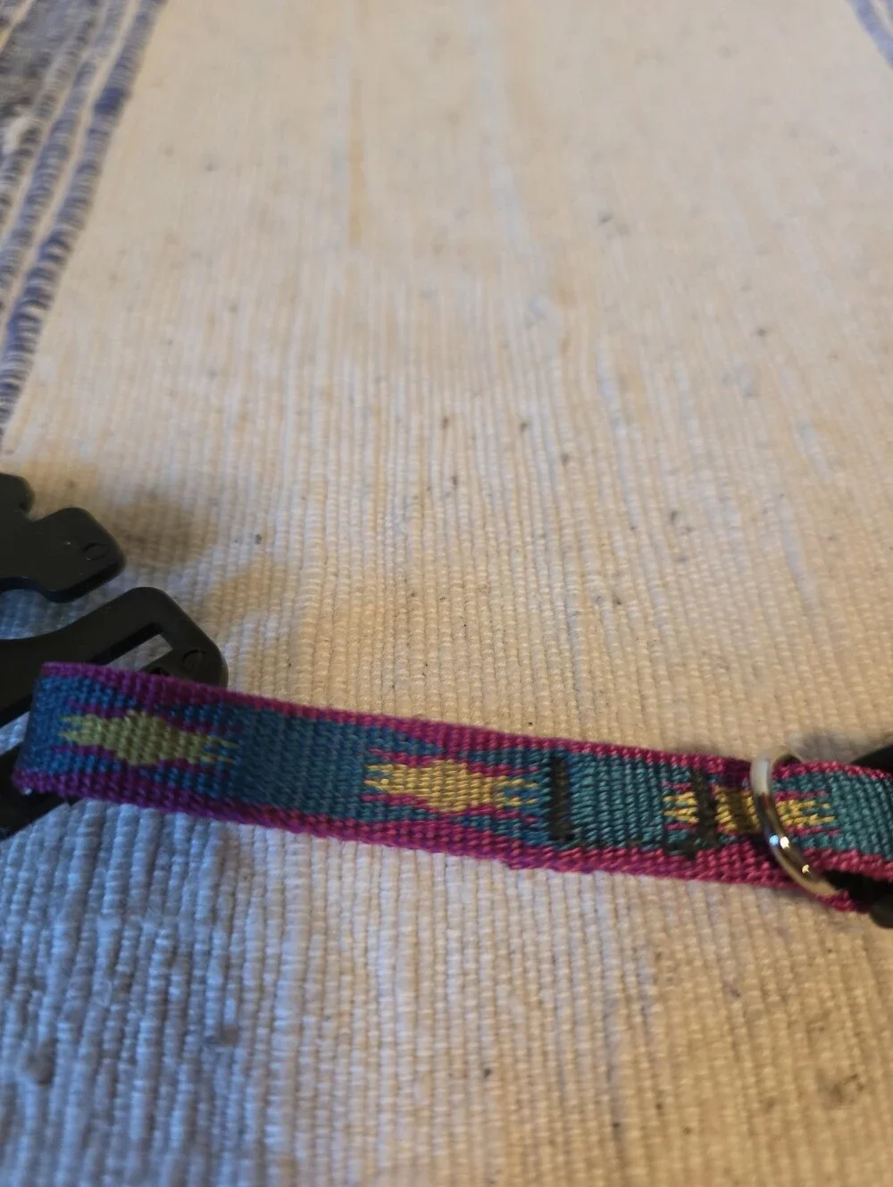 Lupine Teal/Magenta Dog Collar